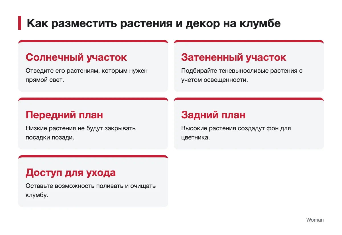 Расположение растений и доступ для ухода в цветнике Схема размещения растений по освещенности и высоте на клумбе